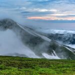 墓じまいを石材店が宣伝する理由