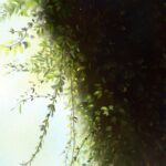 墓じまい後、石の処分はどうする？