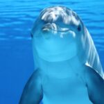 墓じまい・・・