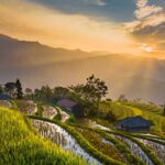 おひとり様でも安心の墓じまい