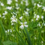 お寺とのご縁を大切に、慎重に進める「離檀」と墓じまい