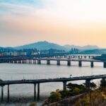 遺言と墓じまいのトラブルを防ぐために行政書士ができること