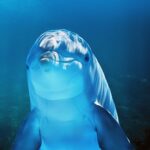 墓じまいを石材店が宣伝する理由