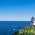 墓じまいの離檀について