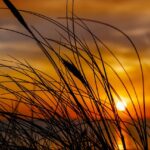 墓じまいとお布施の関係を正しく理解する