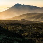 墓じまいは「段取り」がすべて