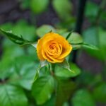 終活の一環としての墓じまい——心と気持ちに余裕がある「今」だからこそ考えるべき理由