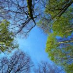 【墓じまい】心配ごとはすべて解決！尼崎市を中心に関西エリアまで丁寧に対応する墓じまいサポートセンターへ