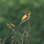 【墓じまいの必須書類】永代使用許可書（使用許可書）はなぜ必要？申請・工事をスムーズに進めるポイント｜尼崎市の墓じまいサポートセンター