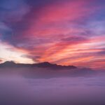 墓じまいが「どうしても後回し」になってしまう理由とは？