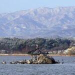 墓じまいの工事見積もりは“現地を拝見してから”が基本