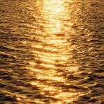 墓じまいで戸籍収集にお困りではありませんか？墓じまいサポートセンターが一括サポートもできます