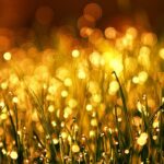 墓じまいに必要な儀式があります｜後悔しないために知っておきたい大切なポイント