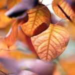 尼崎市を中心に関西一円の「墓じまいサポートセンター」です