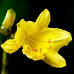 墓じまい後の「納骨法要」までお任せください｜尼崎市を中心に関西一円対応