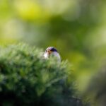 尼崎市を中心に関西一円で「墓じまい」をお考えの方へ