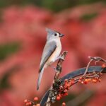 尼崎市を中心に関西一円で墓じまいを支援｜墓石販売経験のある行政書士がご住職手配までトータルサポート