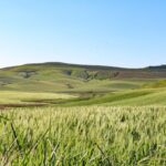 引っ越し先が見つからないと墓じまいはできない？