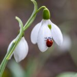 墓じまいをしても「分骨」という選択肢があります｜後悔しないための基礎知識