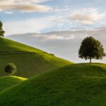 尼崎市・宝塚市 阪神エリア墓じまいのトラブルを回避する完全ガイド｜行政書士が解説